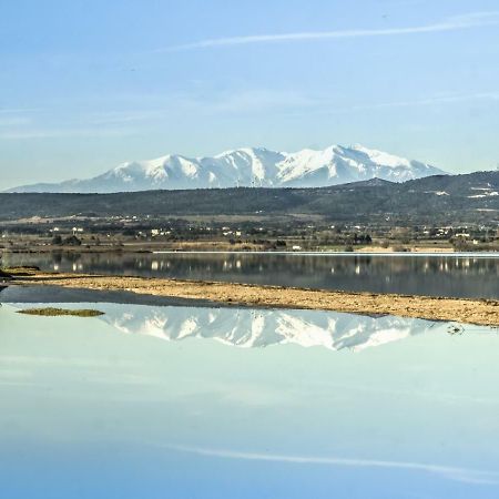 Appartement Le Flamant Rose Port-la-Nouvelle Dış mekan fotoğraf