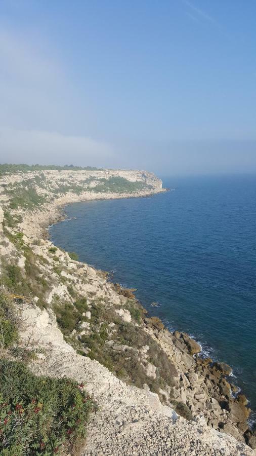 Appartement Le Flamant Rose Port-la-Nouvelle Dış mekan fotoğraf