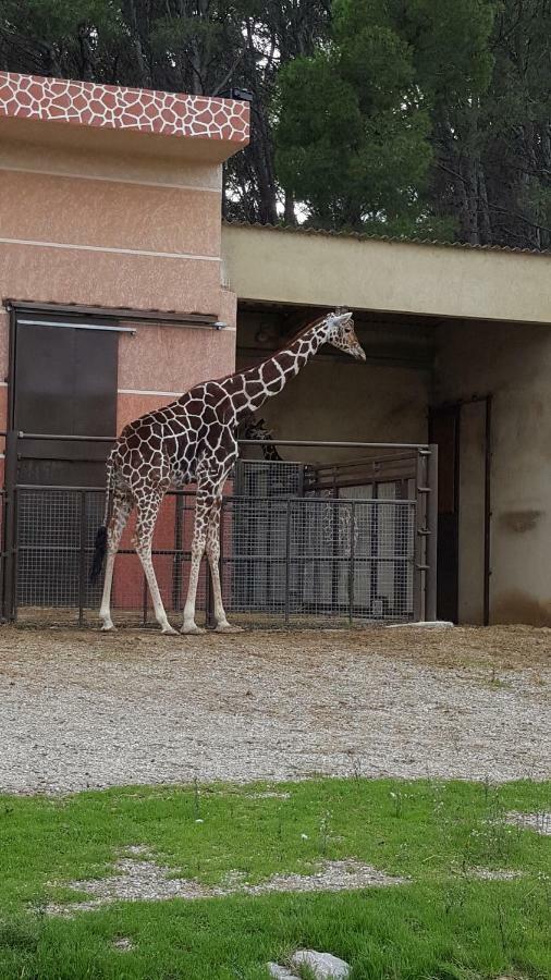 Appartement Le Flamant Rose Port-la-Nouvelle Dış mekan fotoğraf