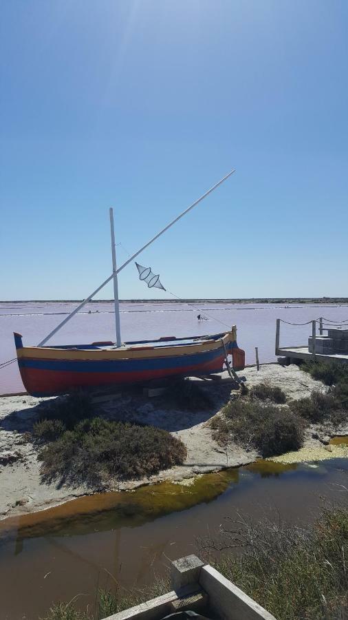 Appartement Le Flamant Rose Port-la-Nouvelle Dış mekan fotoğraf