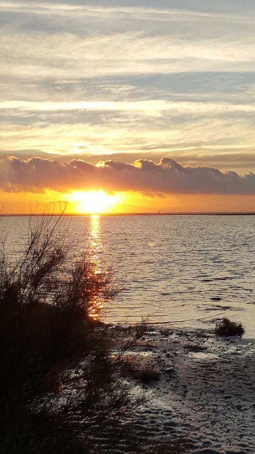 Appartement Le Flamant Rose Port-la-Nouvelle Dış mekan fotoğraf